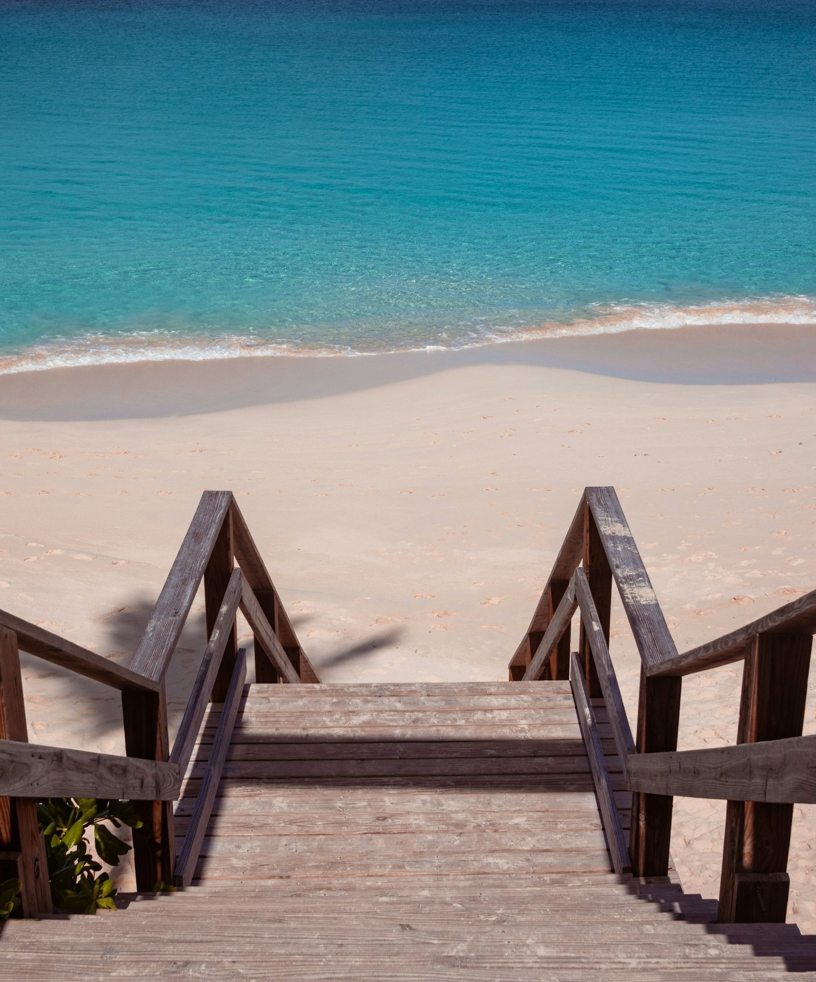 shaquille-campbell-__AAuaNWeLo-unsplash