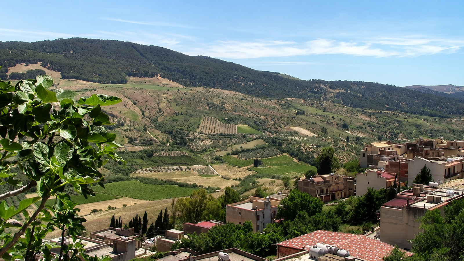 Sambuca di Sicilia