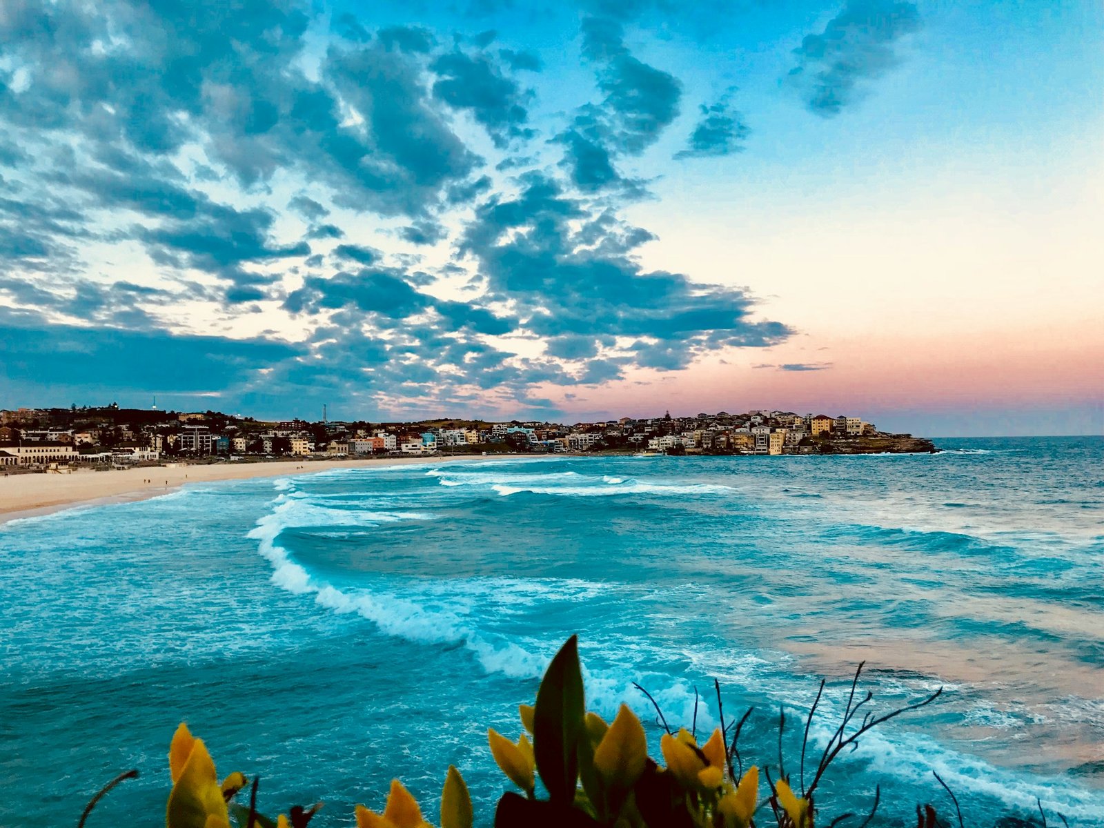 azucena-stelzer-G1-Bondi Beach-unsplash
