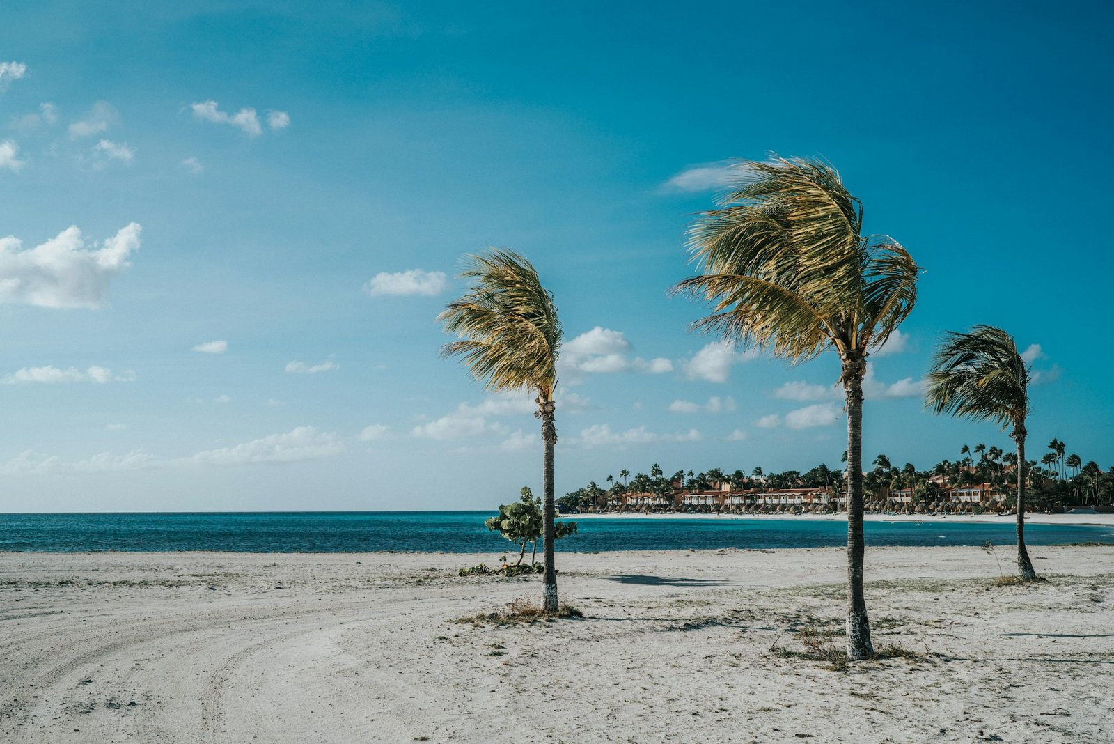 david-courbit-Eagle Beach-unsplash