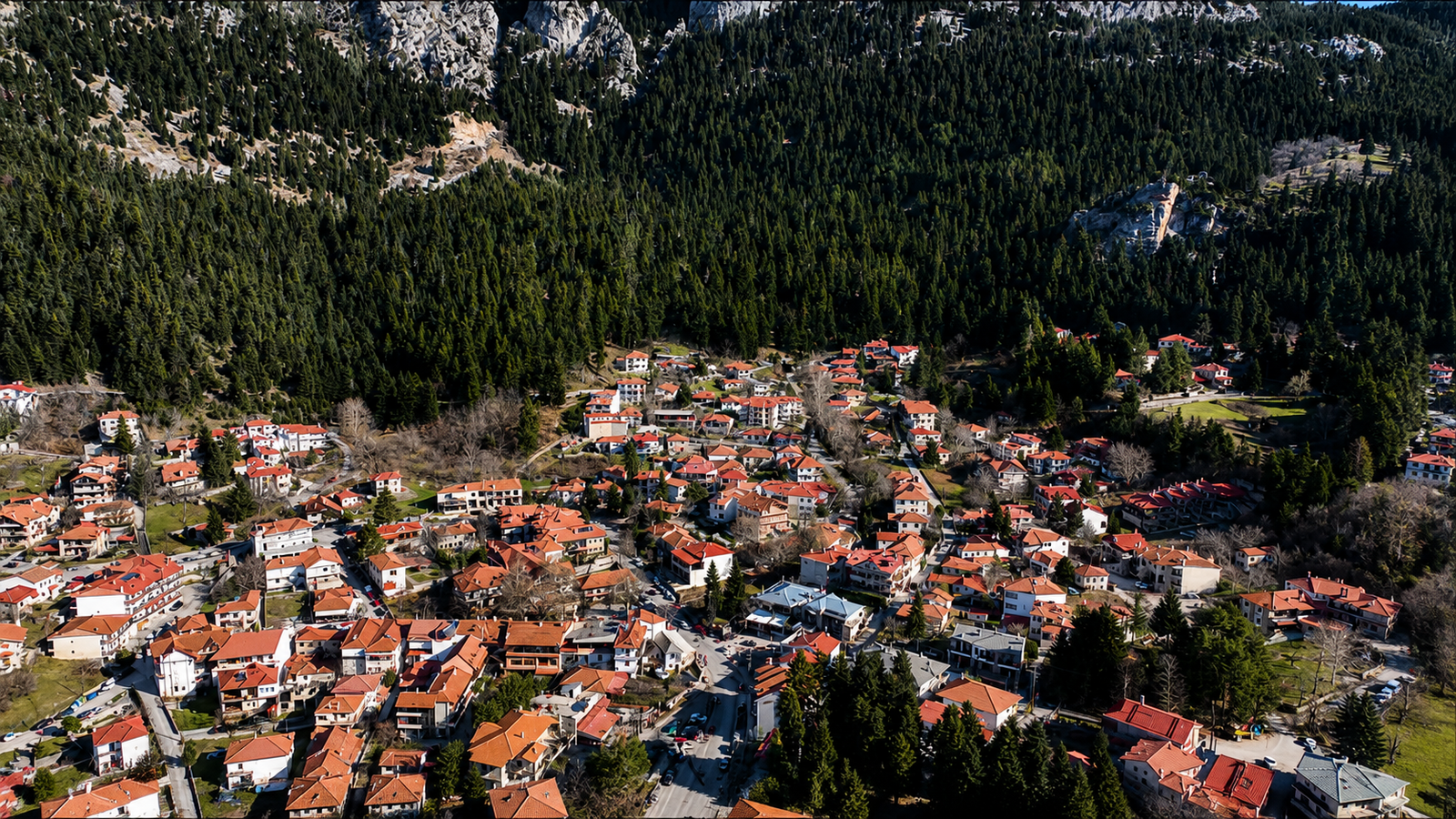 elati-teikalos-2026