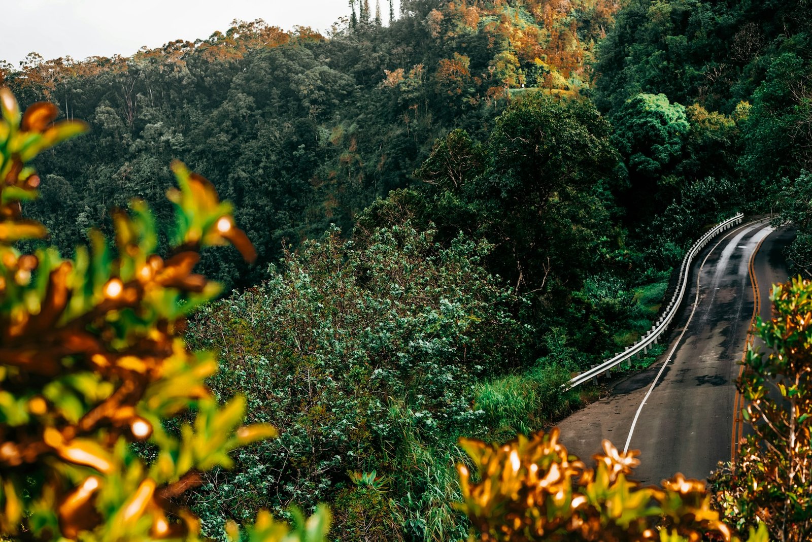 glenna-haug-hawaii-road-to-hana-unsplash
