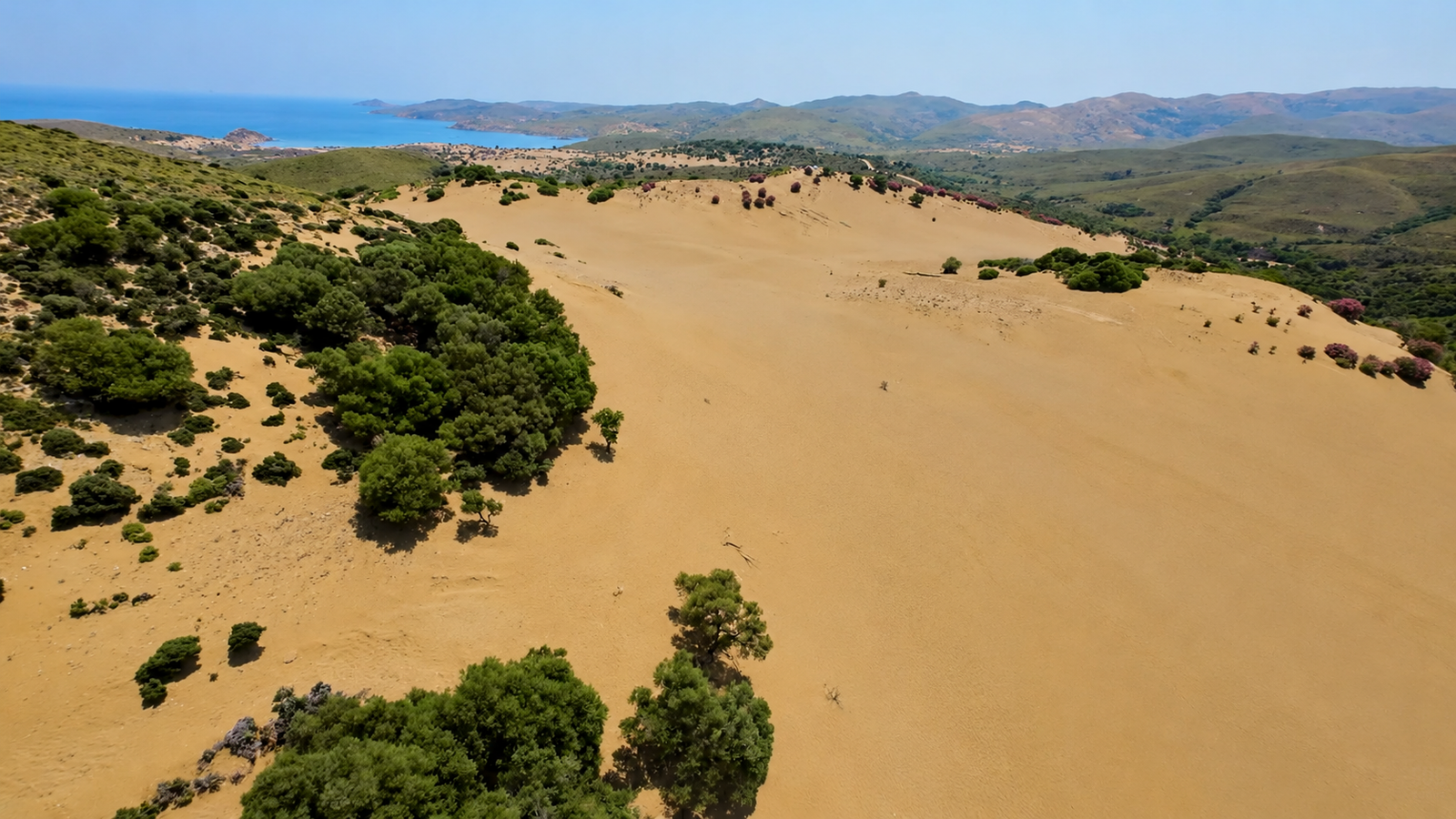 lemnos-ammothines