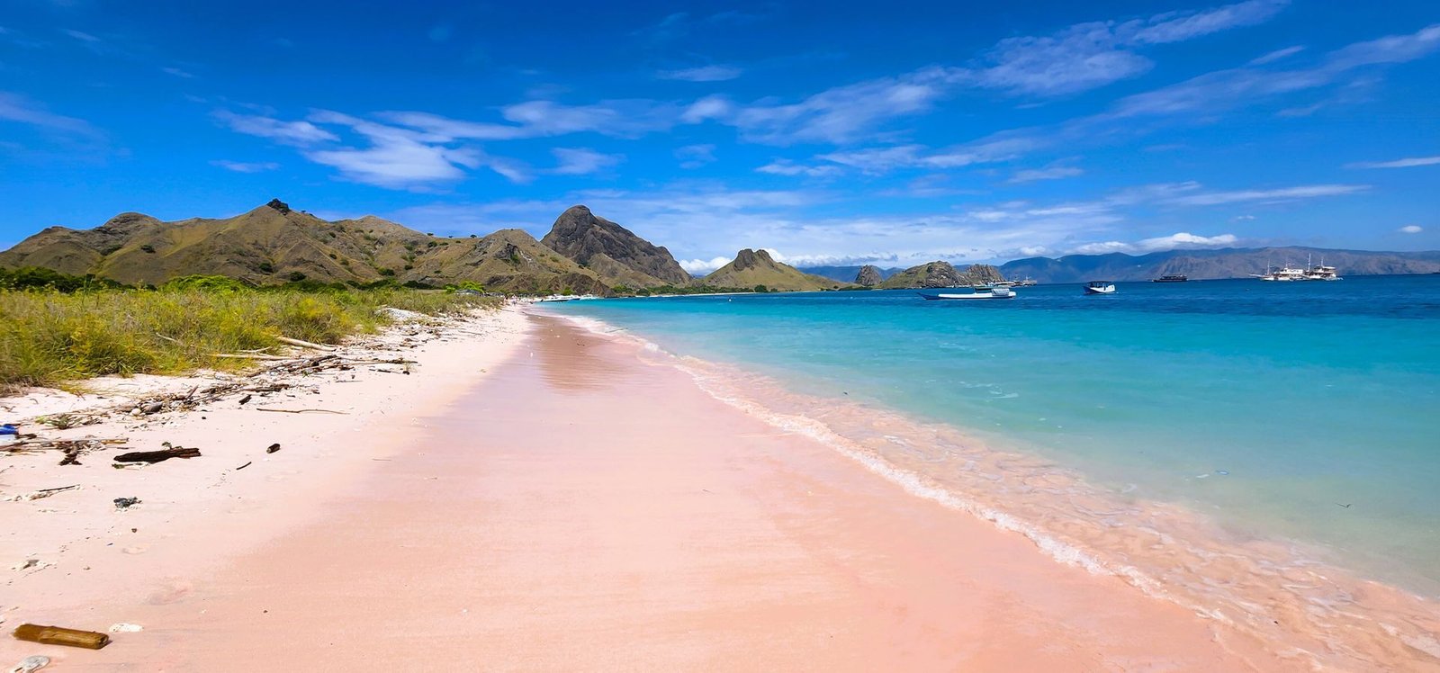 pexels-joyston-judah-pink-beach