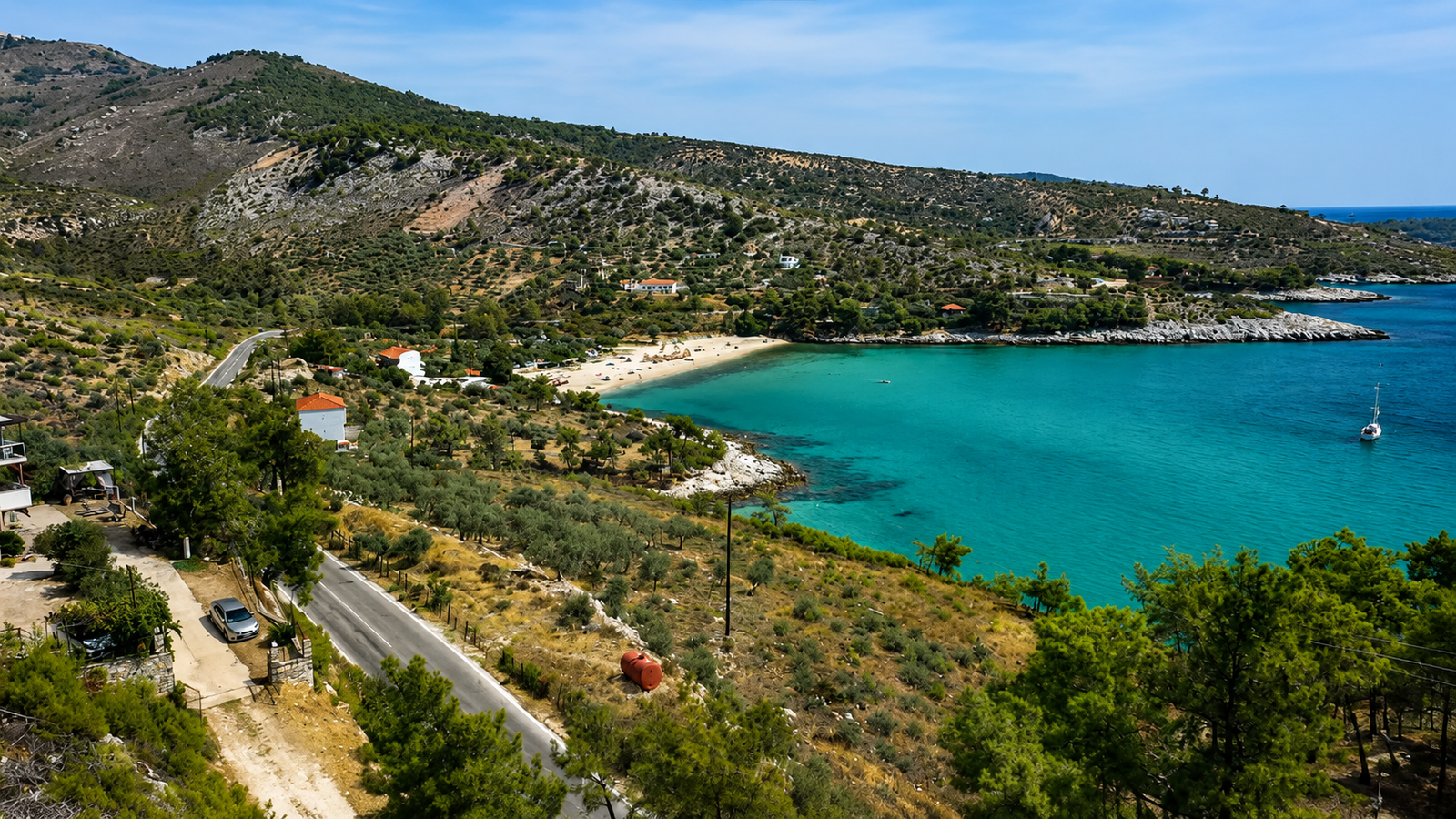 thimonia-2