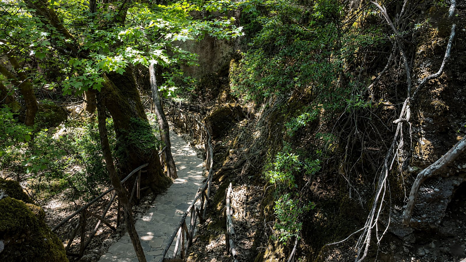 valley-of-butterfly