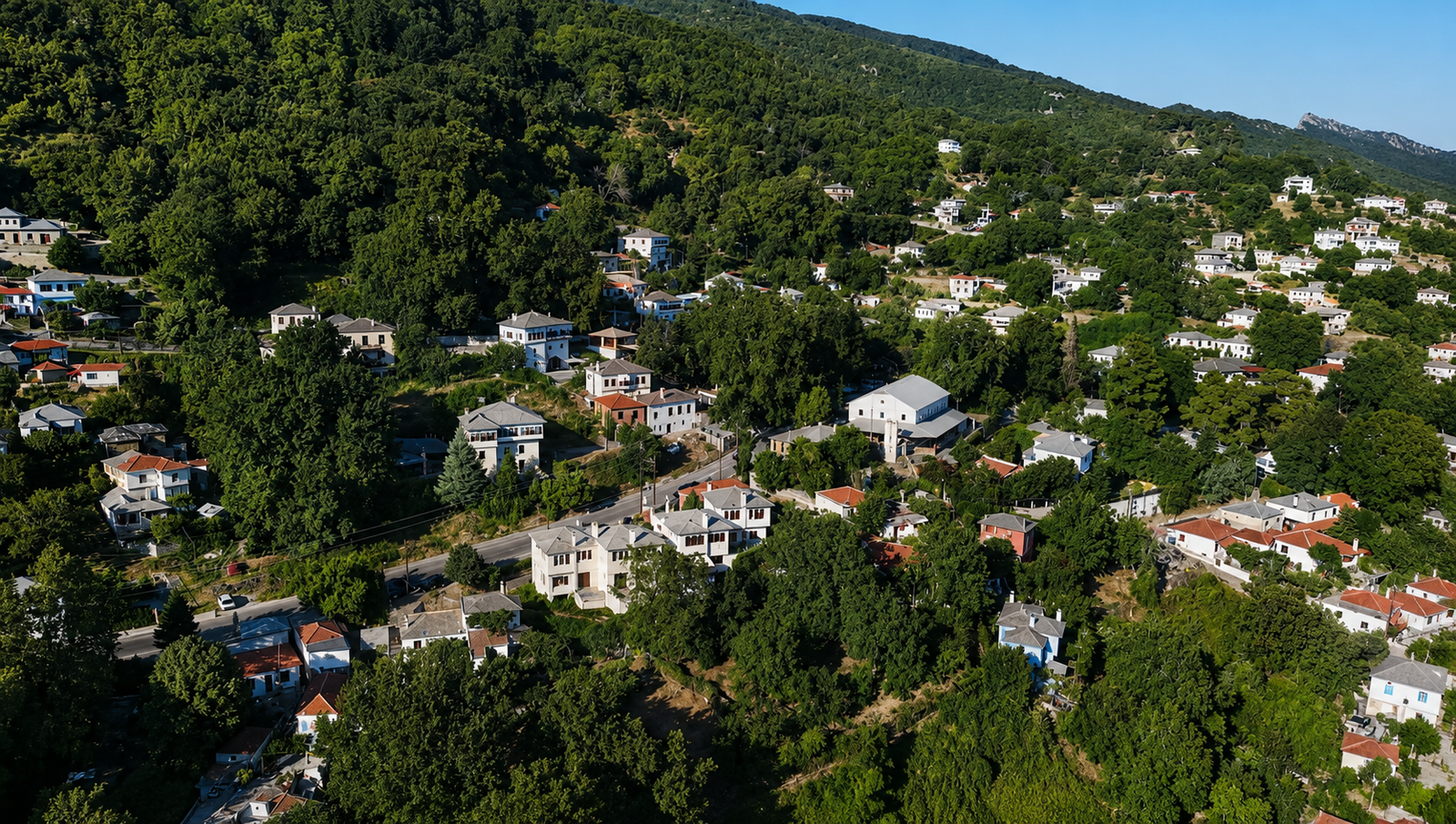 vizitsa-1