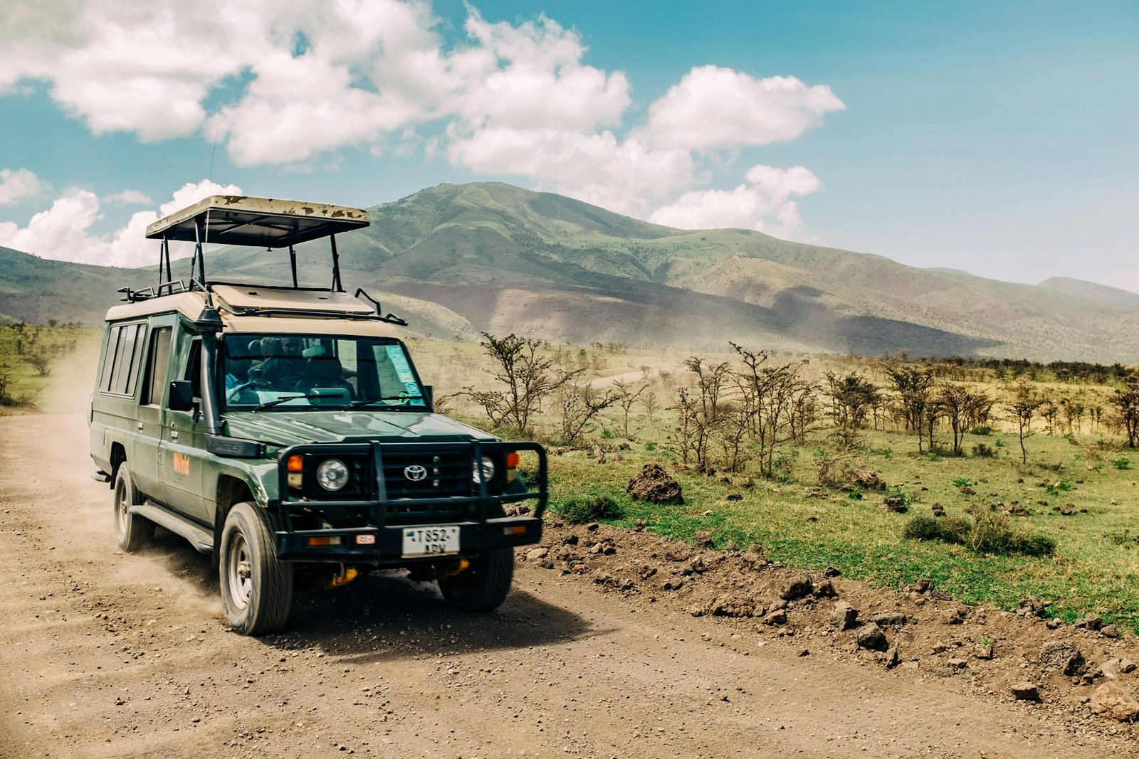 ashim-d-silva-safari-unsplash