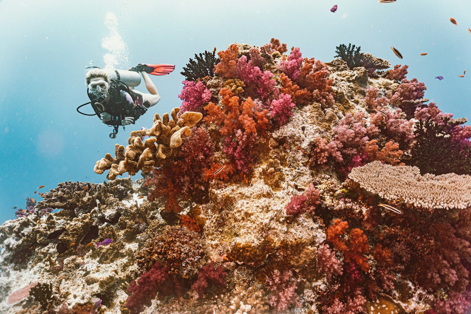 johnny-africa-fiji-unsplash