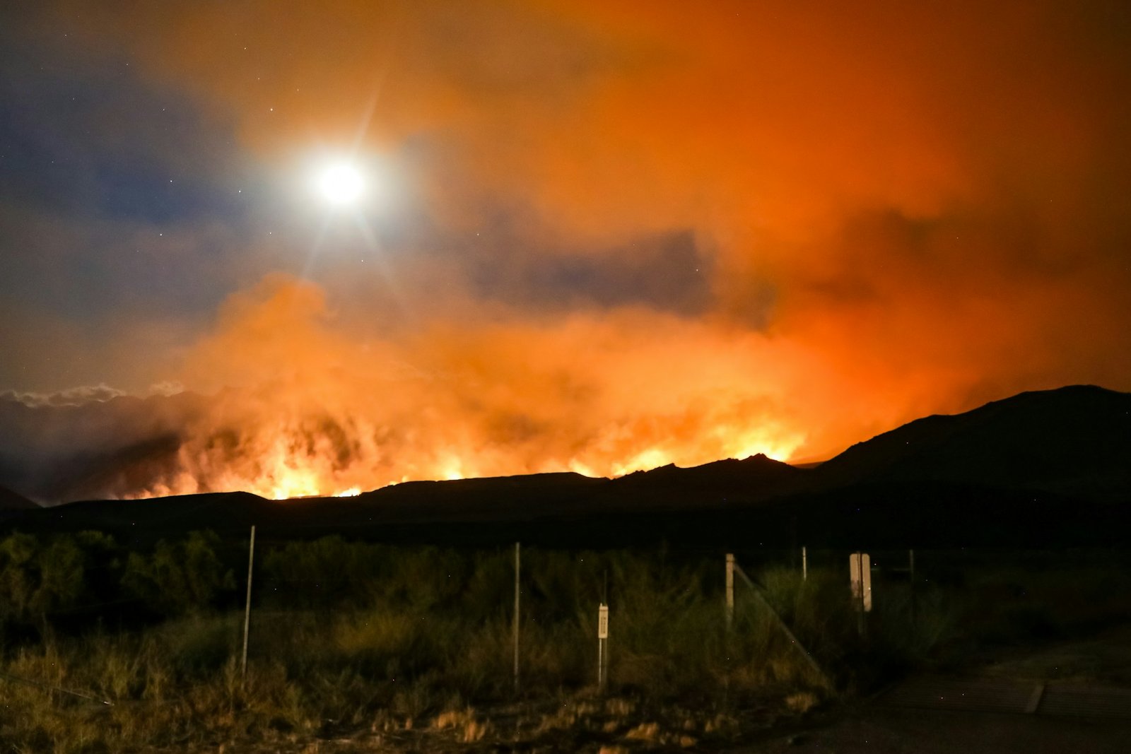ross-stone-wildfire-unsplash