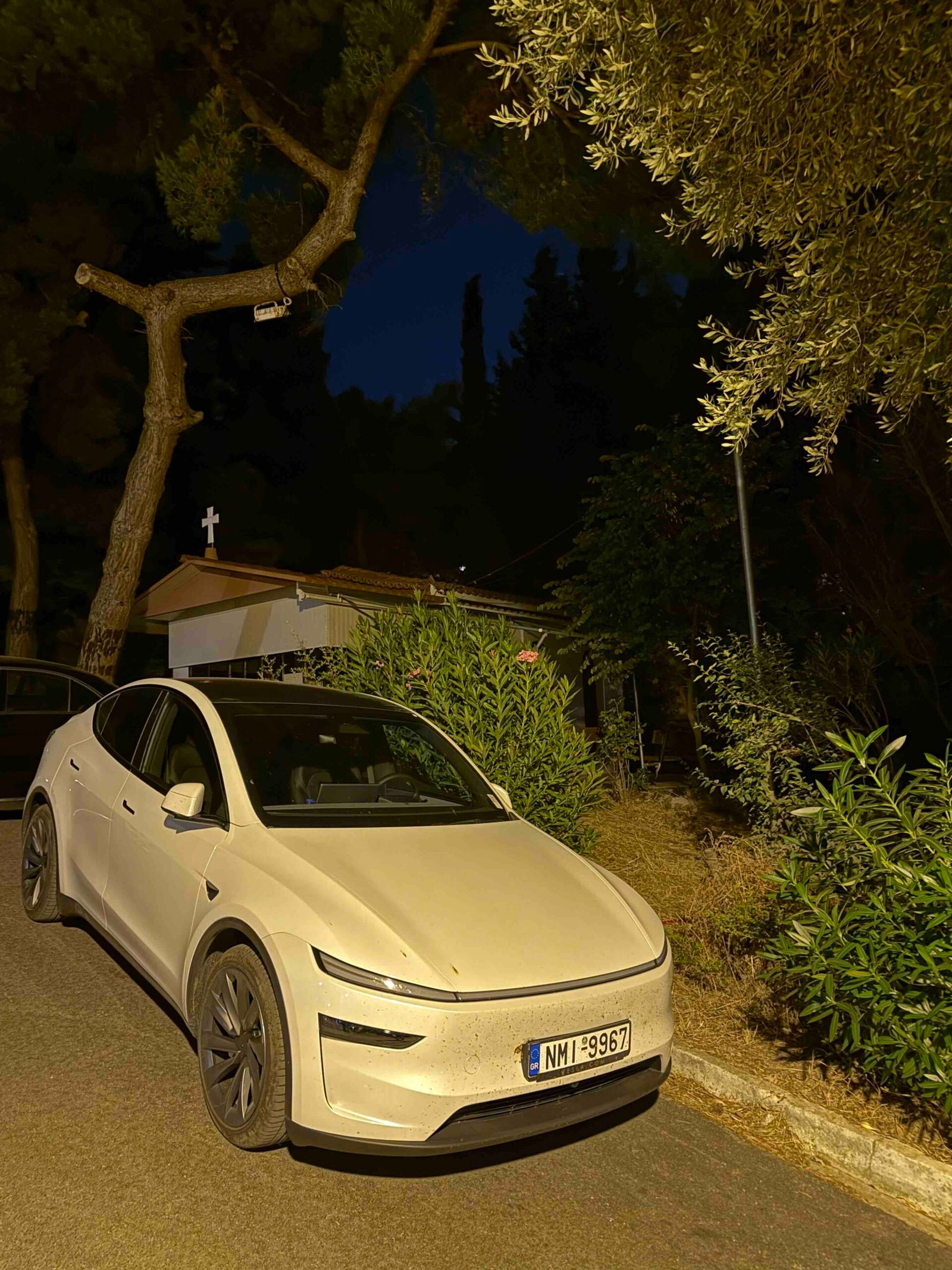 tesla-y-dual-8