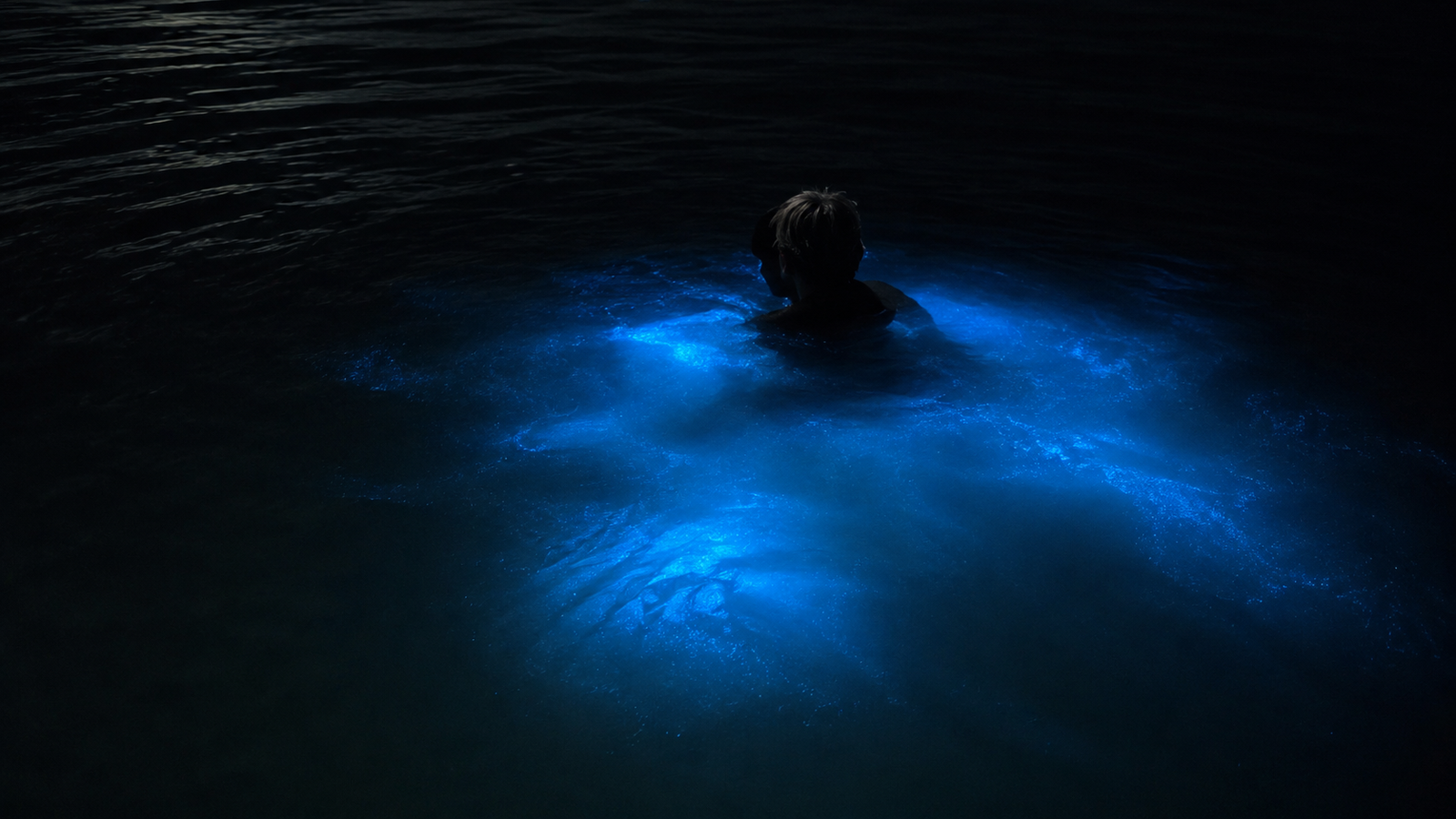 Luminous Lagoon