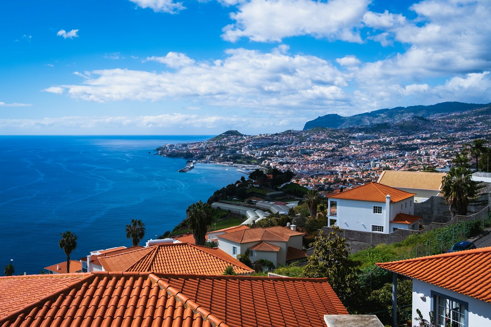 dimitry-b-Funchal-unsplash