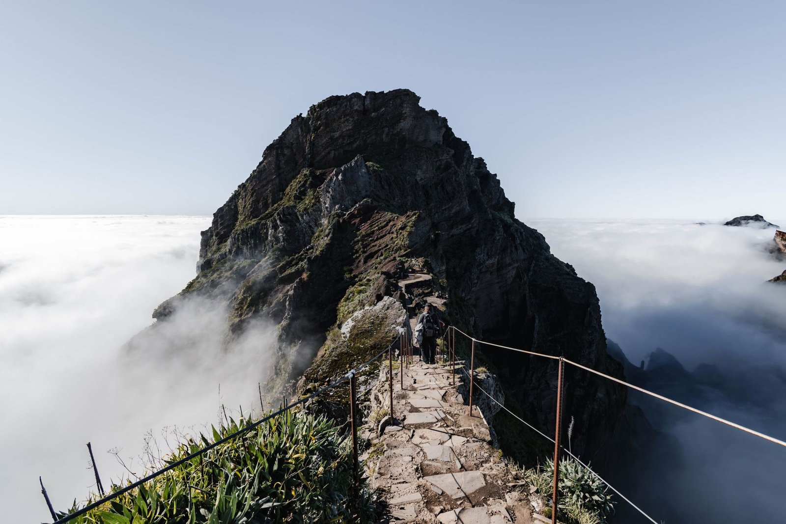 pexels-karolina-madeira