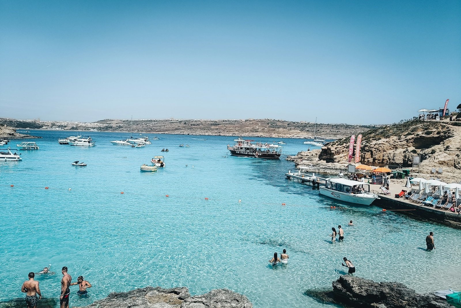 spruce-Blue Lagoon-unsplash