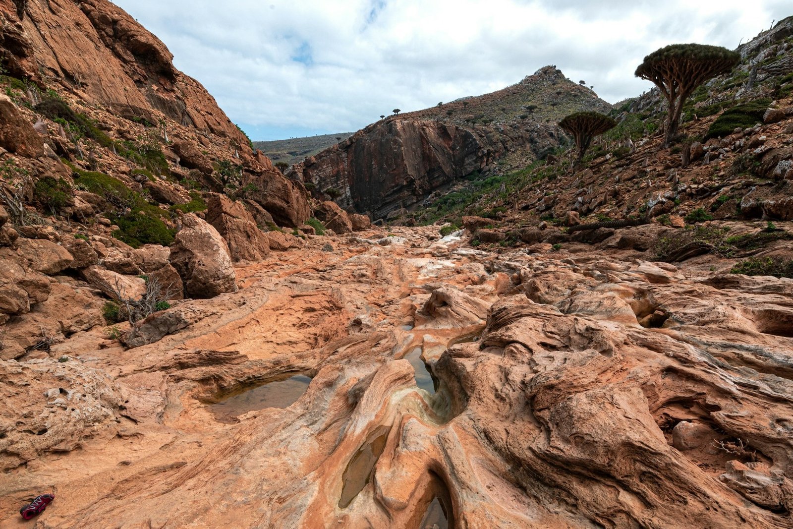andrew-svk-socotra-5-unsplash