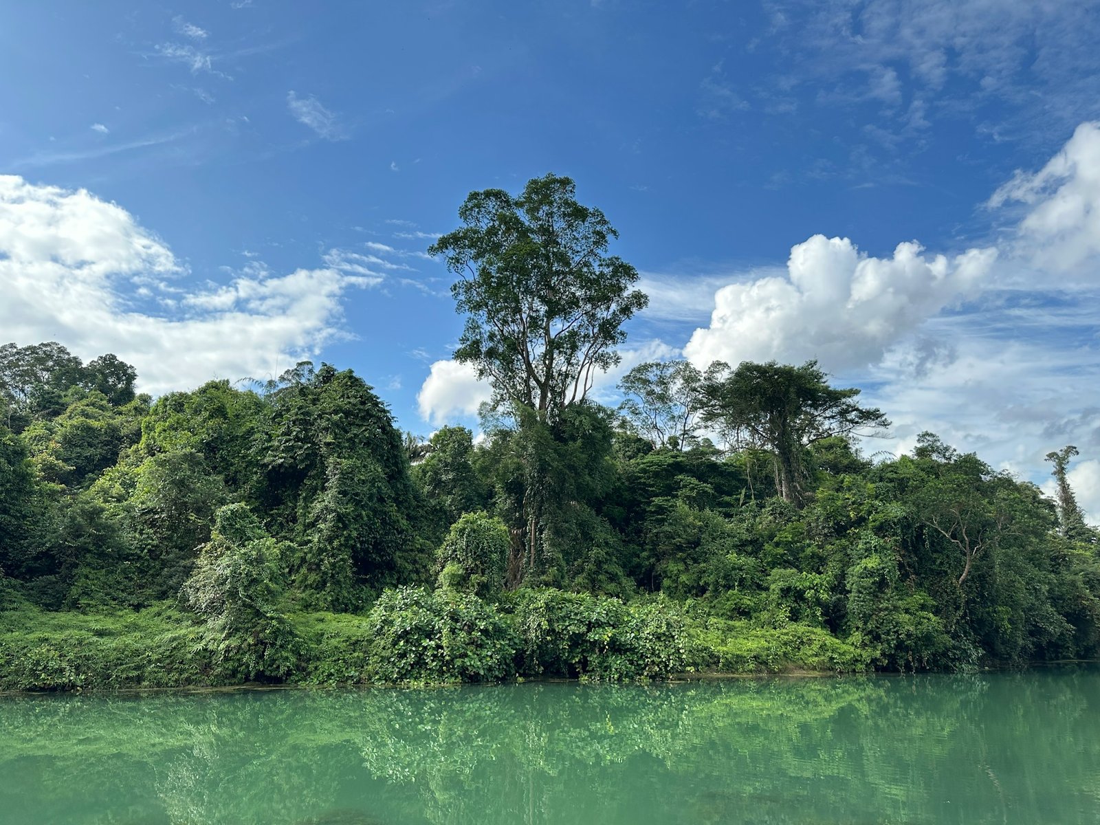 andy-wang-Iquitos-unsplash