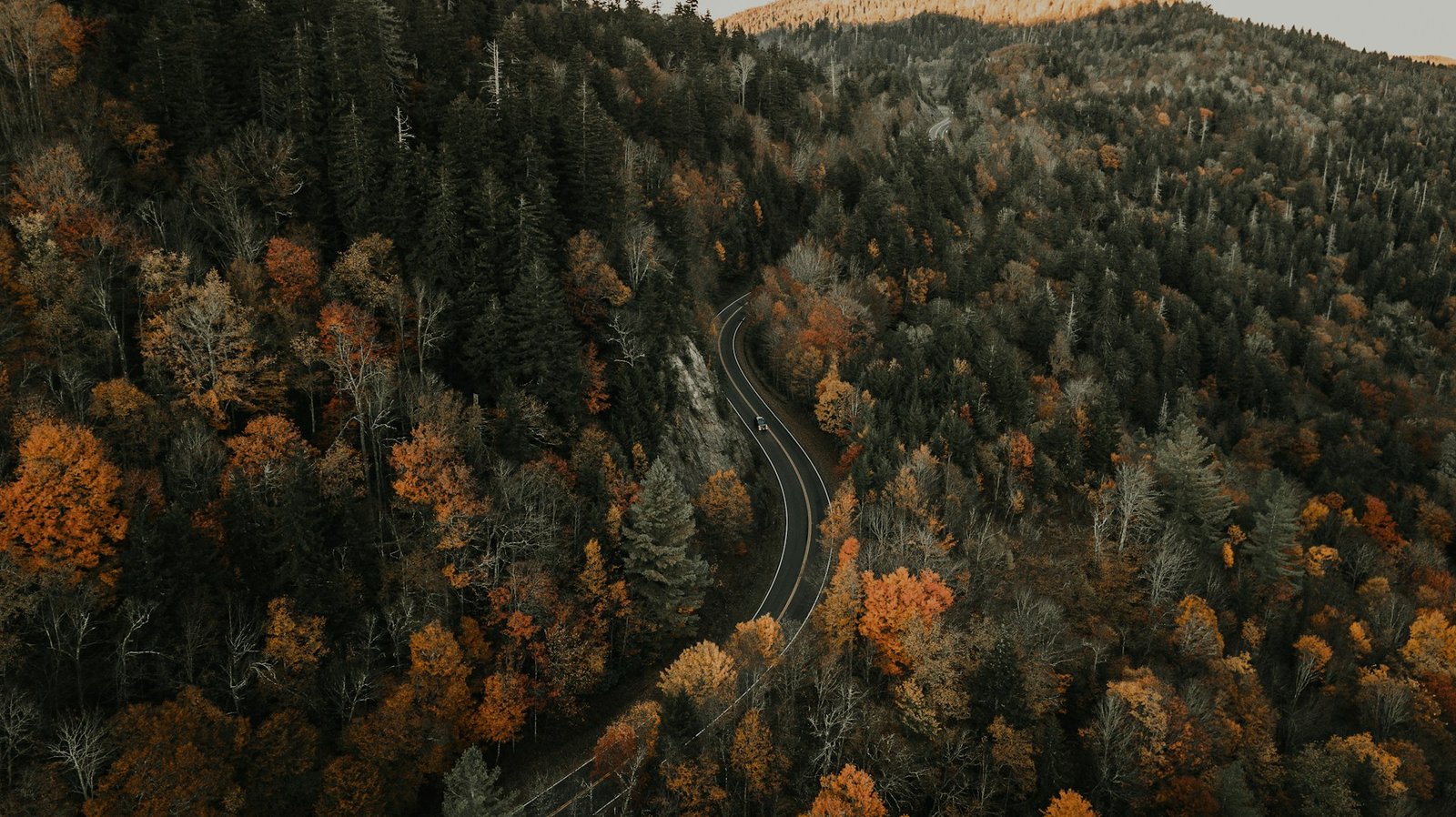 clay-banks-Blue Ridge Mountains-unsplash