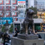 Χάτσικο: Ο σκύλος που περίμενε σχεδόν 10 χρόνια
