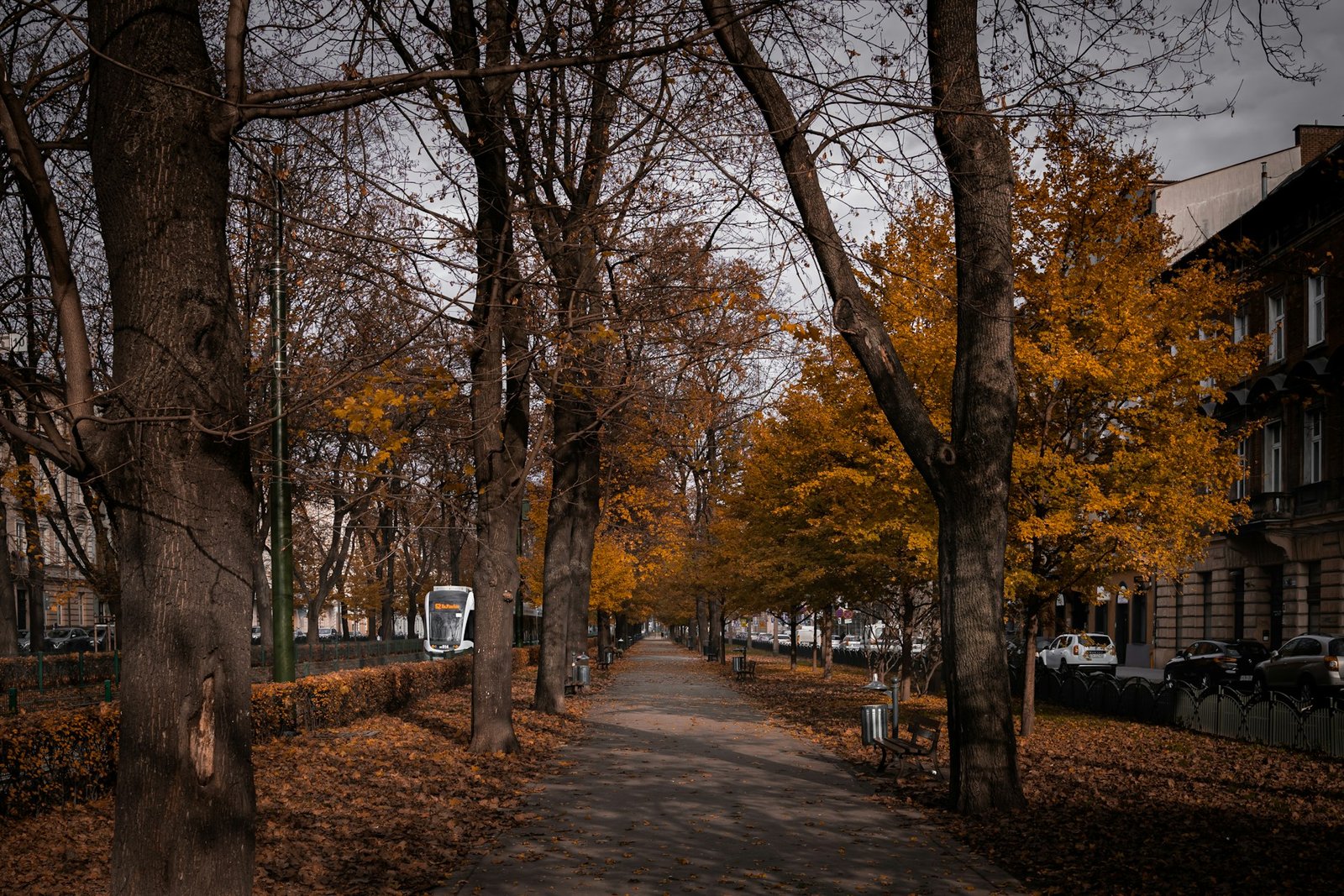 gabriella-bortolussi-krakow-unsplash