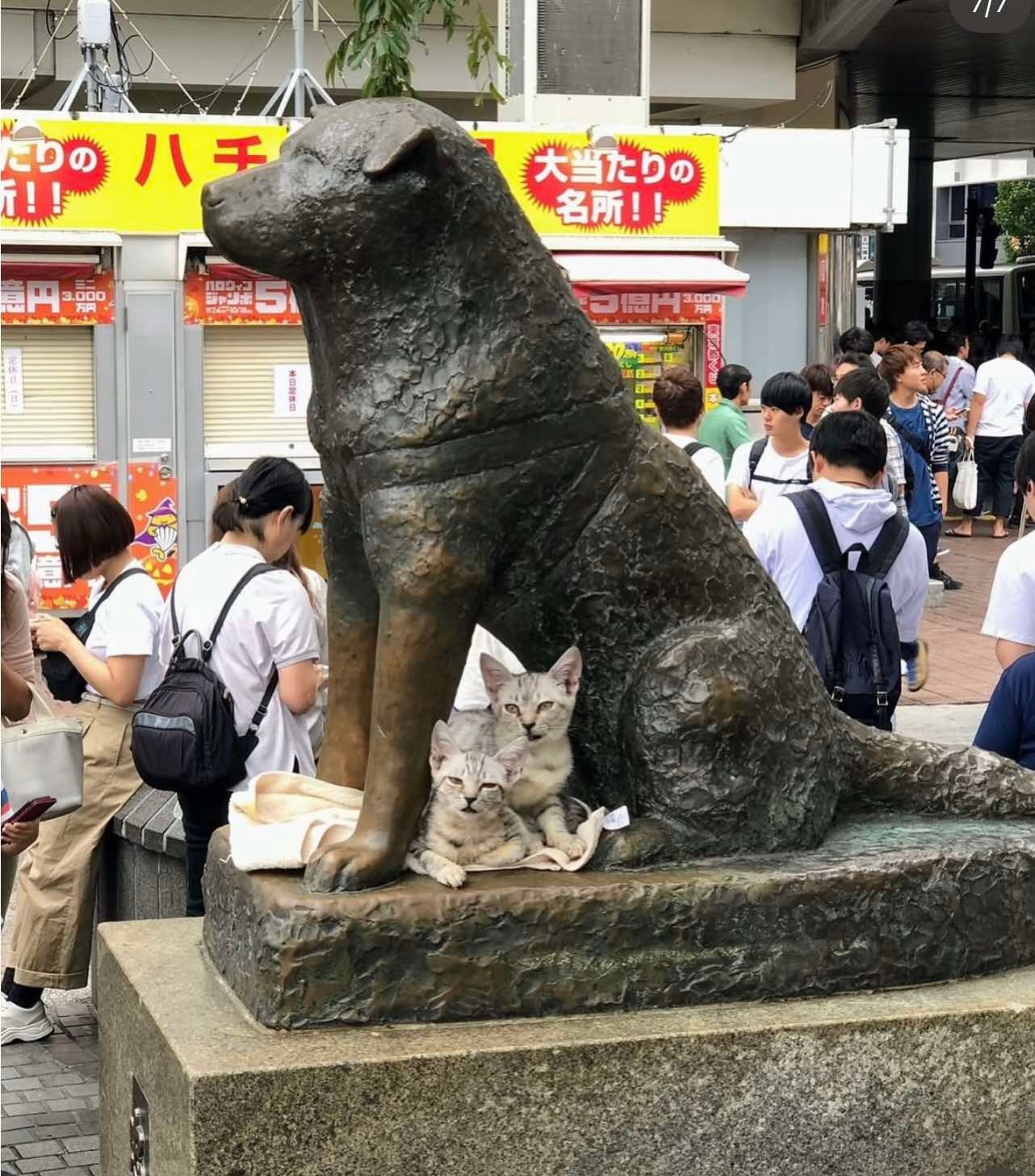 hachiko-statue-2