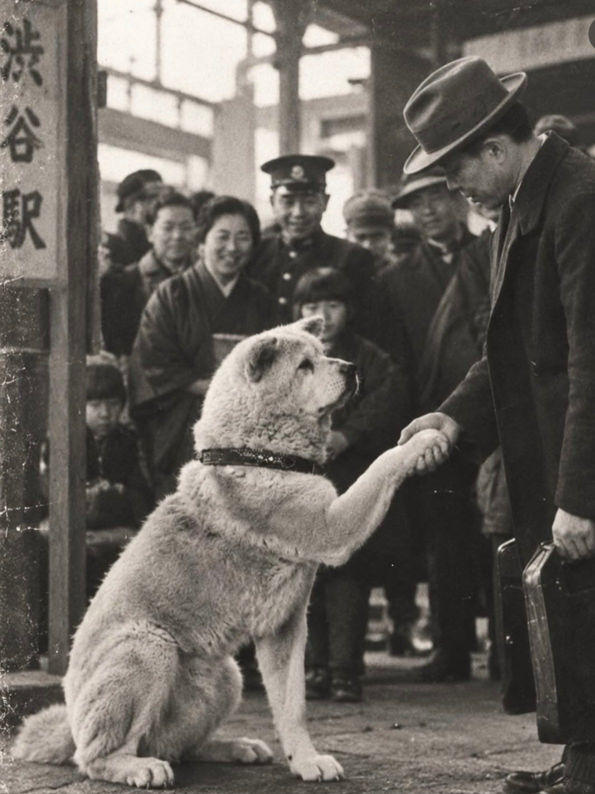 hachiko-statue-3