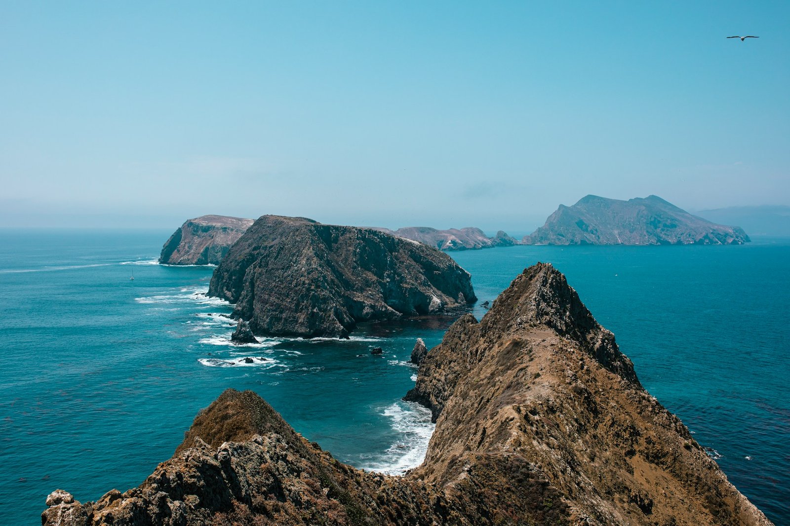 lisha-riabinina-Channel Islands-unsplash