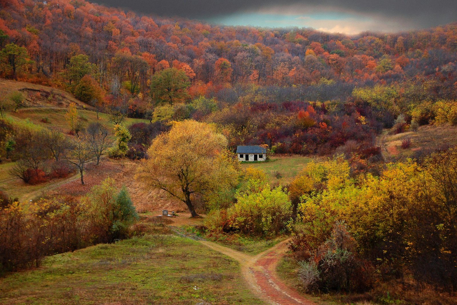 maria-lupan-moldova-unsplash