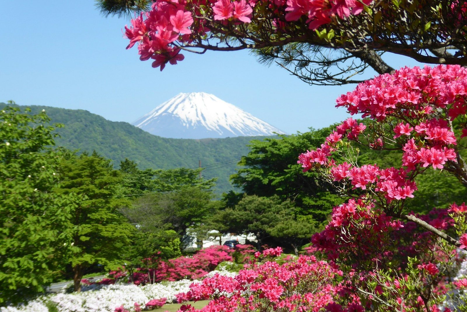 steve-sharp-fuji-unsplash