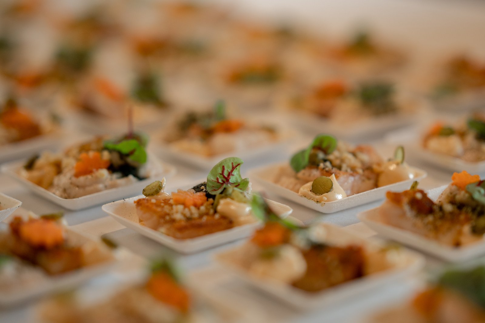 Lionfish Event (92)