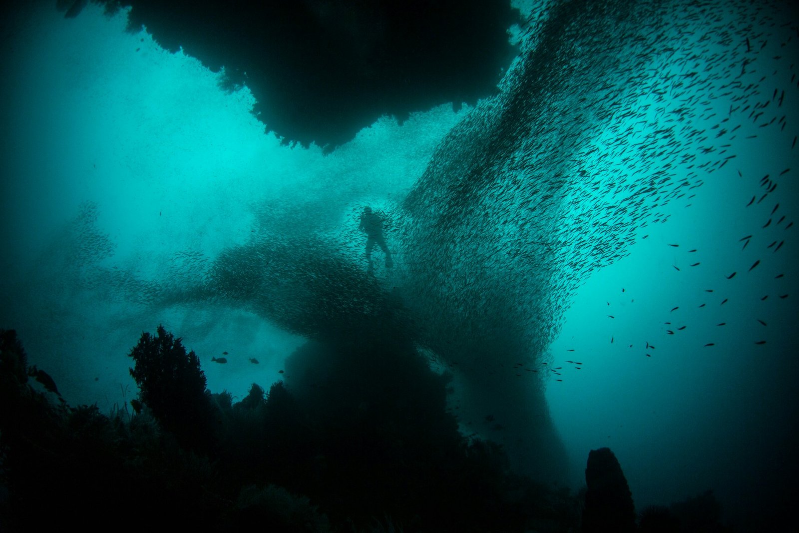 alex-rose-raja-ampat-unsplash