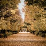 Φθινοπωρινή Βιέννη: Το τέλειο ευρωπαϊκό city break