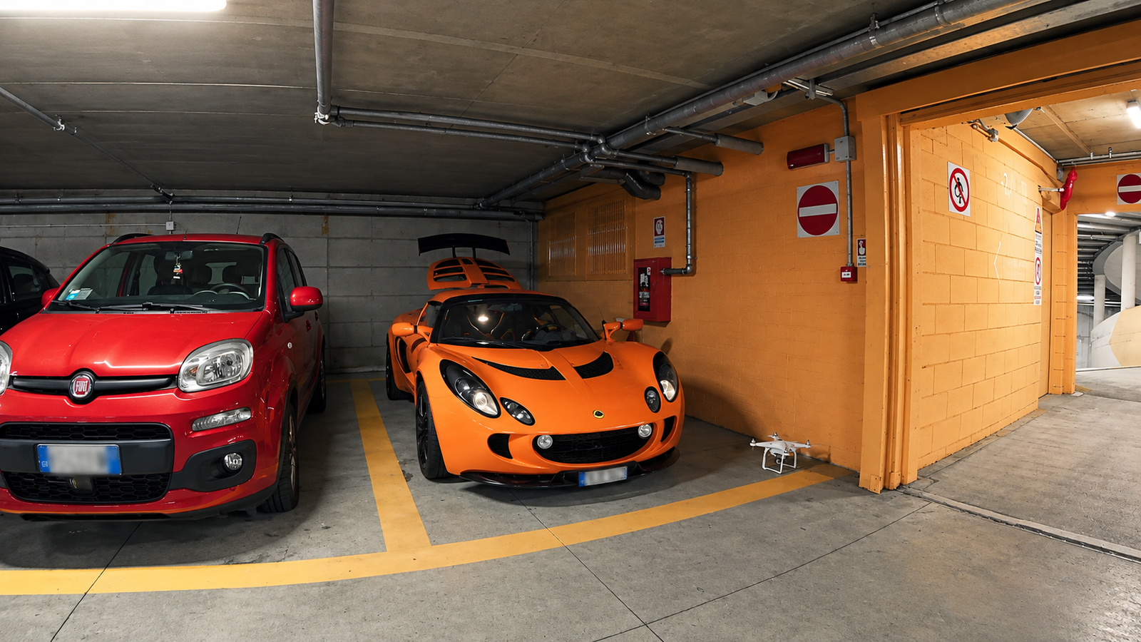 lotus-tergesti