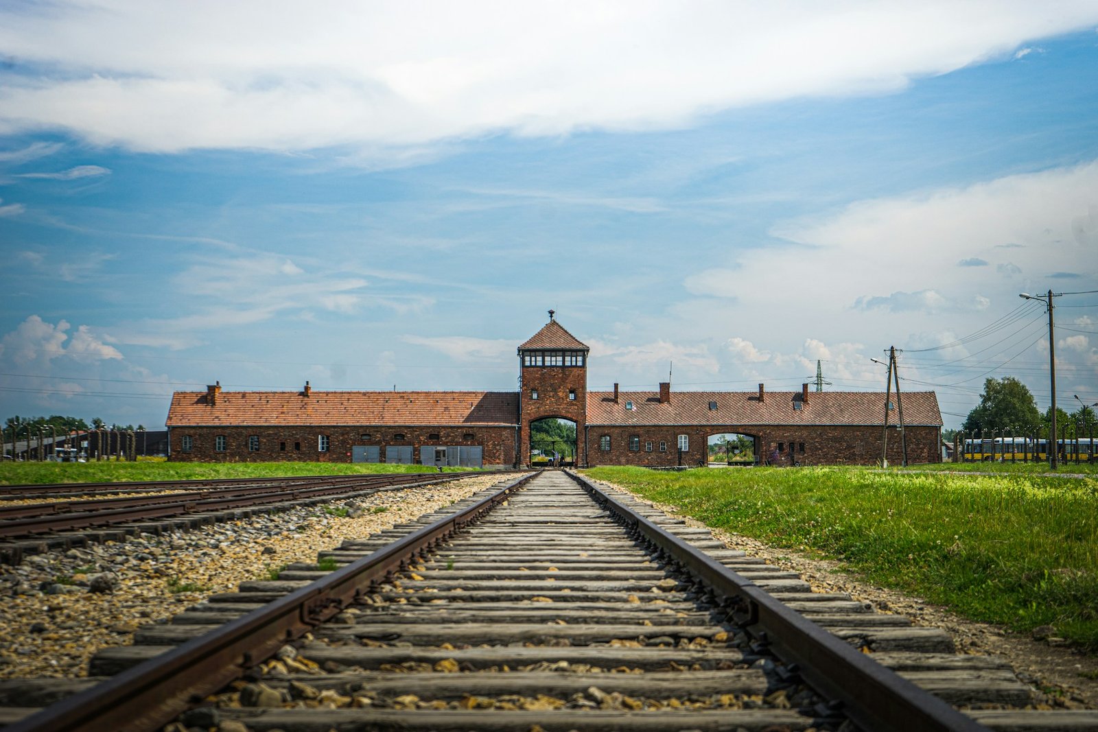 malek-bee-auschwitz-unsplash