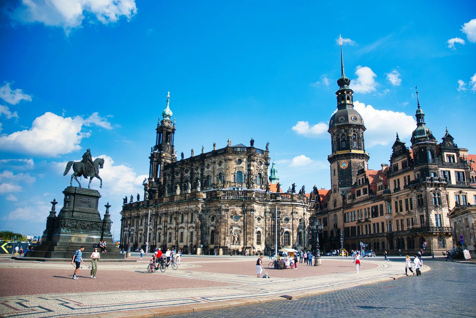 paws_and_prints-dresden-unsplash