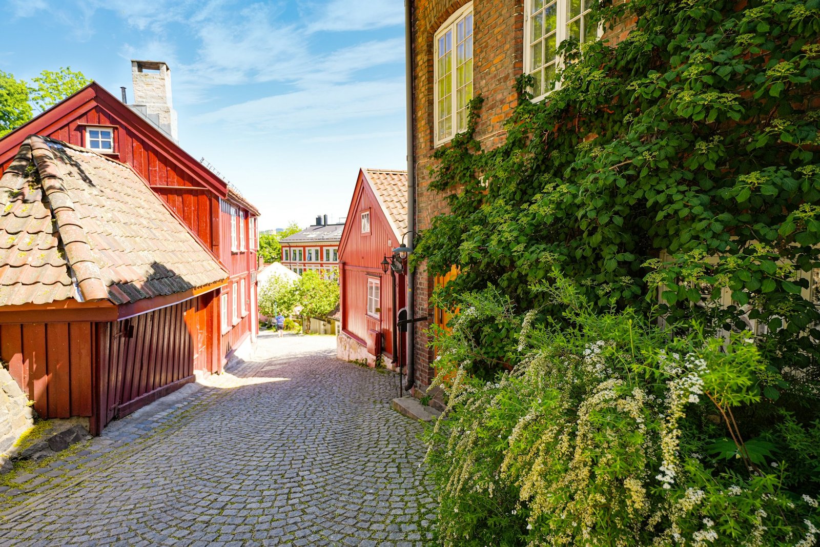 richard-hatleskog-Telthusbakken-unsplash